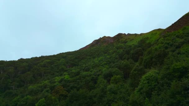 森のある緑の山の景色 クリップ 緑の濃い森がある山の斜面のトップビュー 曇りの日の緑の森の斜面を持つ山の素晴らしい性質 — ストック動画