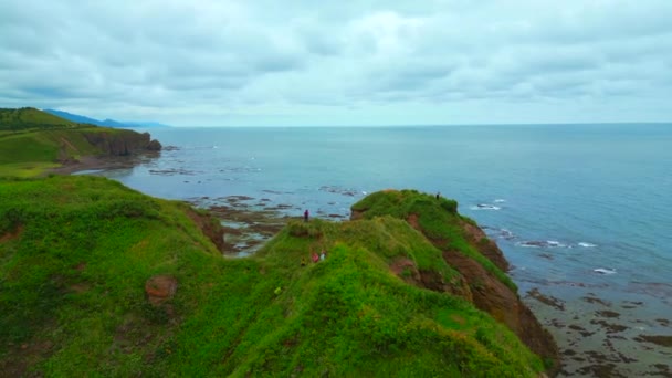 Κάτοψη Των Τουριστών Βραχώδη Ακτή Μονοπάτι Πράσινο Γρασίδι Κλιπ Όμορφο — Αρχείο Βίντεο