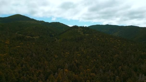 Vue Dessus Beau Paysage Montagne Avec Vallée Verte Forêt Clip — Video