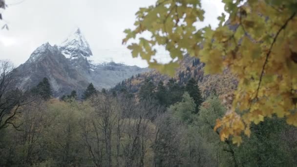 Hoge Bergen Bedekt Met Sneeuw Achter Boomtakken Creatief Gele Herfstbladeren — Stockvideo