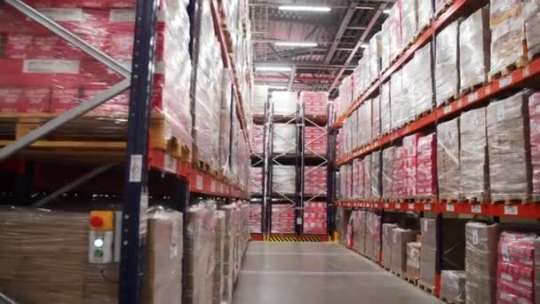 储存走廊 里面有无穷无尽的装箱货物 全球销售的概念 — 图库视频影像