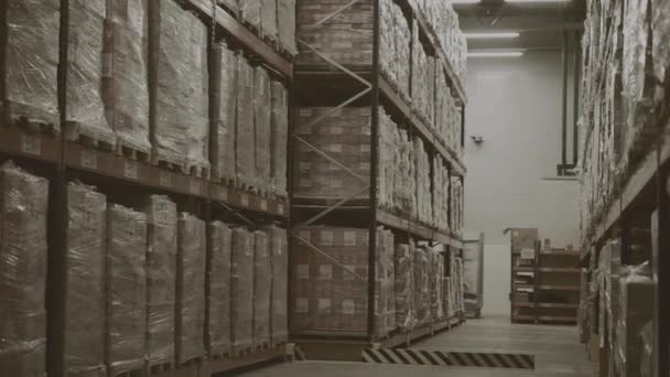 Lagringskorridor Med Ändlösa Förpackningar Med Varor Kreativ Begreppet Global Försäljning — Stockvideo