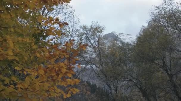 Bergen Bewolkt Landschap Boven Het Bos Creatief Herfst Geel Gebladerte — Stockvideo