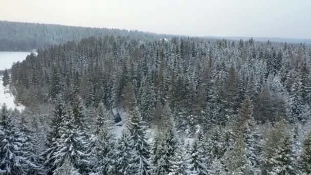 Sihirli Karlı Kış Harikalar Diyarı Ağaçların Arasında Inşa Edilmemiş Küçük — Stok video
