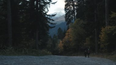 Doğa ile huzurlu bir yerde güzel bir orman manzarası. Yaratıcı. Anne ve çocuk yürüyüşçüler ağaçlar boyunca yürüyorlar.