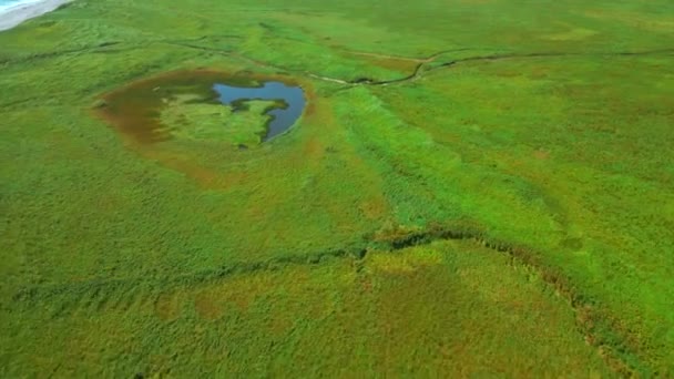 绿色农田上的小池塘 翠绿的草地和小湖的空中 — 图库视频影像