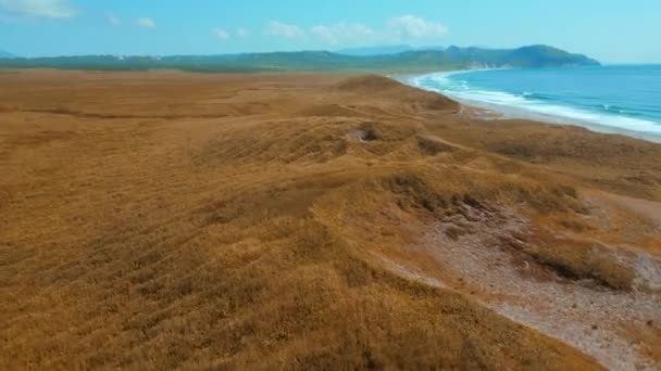 Udara Dari Musim Gugur Rumput Kuning Dan Pantai Laut Biru — Stok Video