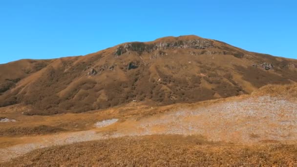 Colorida Vegetación Otoñal Una Zona Montañosa Clip Día Soleado Cielo — Vídeo de stock