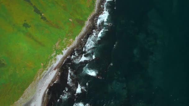 Vista Aérea Del Campo Verde Esmeralda Mar Azul Japón Clip — Vídeo de stock