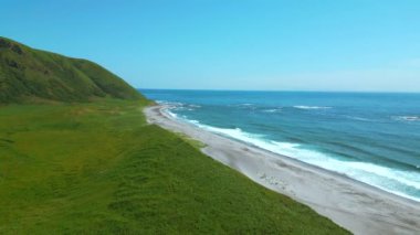 Yaz sahil şeridinin nefes kesici manzarası. Şarjör. Vahşi boş deniz kıyıları ve yeşil tarlalar