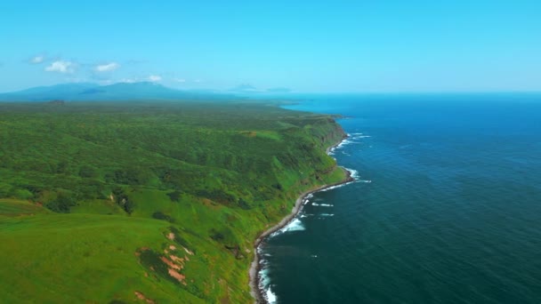 Зеленые Поля Луга Летнее Голубое Небо Спокойное Море Клип Живописный — стоковое видео