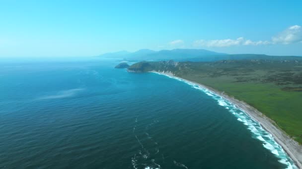 Аерофотозйомка Смарагдового Зеленого Поля Блакитного Моря Японії Кліп Літній Морський — стокове відео