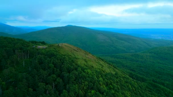 Letecký Pohled Jehličnatý Les Rostoucí Svazích Hor Klip Evergreen Údolí — Stock video