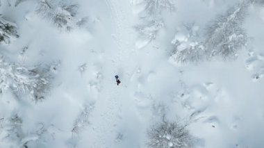 Kışları yürüyüş yapan insanların havadan görünüşü. Şarjör. Kırsal yol karla kaplı, kışın doğasının manzarası 