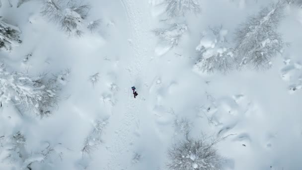 Αεροφωτογραφία Των Ανθρώπων Που Κάνουν Πεζοπορία Στο Μονοπάτι Του Χειμώνα — Αρχείο Βίντεο