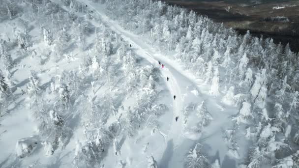 Kış Ormanlarında Tek Tek Yürüyen Yürüyüşçülerin Yukarıdan Aşağıya Bakışı Şarjör — Stok video