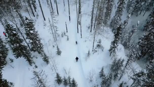 Vista Aérea Homem Caminhando Com Seu Cão Neve Profunda Áustria — Vídeo de Stock