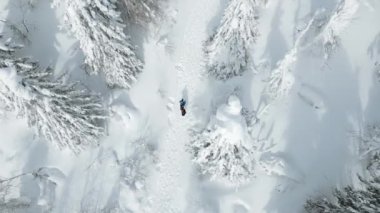 Kışları yürüyüş yapan insanların havadan görünüşü. Şarjör. Kırsal yol karla kaplı, kışın doğasının manzarası 