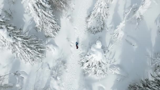 冬のトレイルでハイキングする人々の空中最高の景色 クリップ 雪に覆われた田舎道 冬の風景 — ストック動画