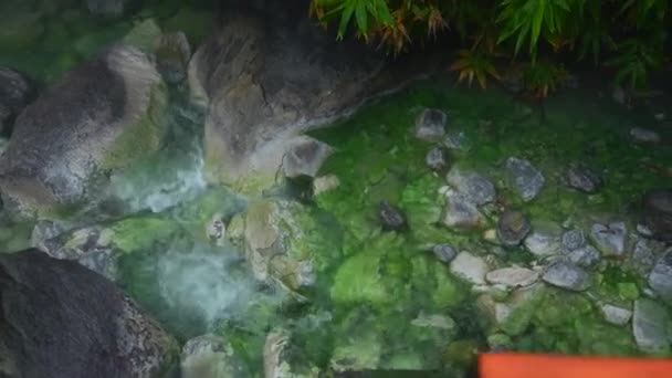Prachtig Uitzicht Stromend Water Bergkloof Jungle Een Knip Prachtige Rivierstroom — Stockvideo