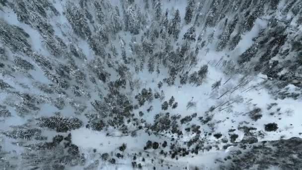 Légi Kilátás Magas Kőképződmények Téli Erdőben Csípés Fagyos Téli Természet — Stock videók
