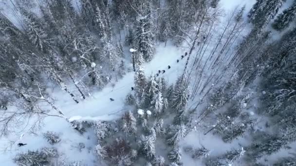 Karla Kaplı Yolu Tek Tek Takip Eden Bir Grup Yürüyüşçünün — Stok video