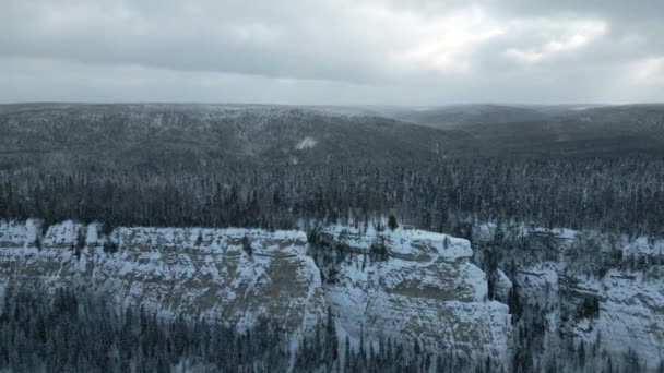从空中俯瞰山崖和河流 寒冷多雪的早晨和无尽的常绿松树林 — 图库视频影像