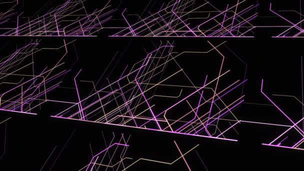 黒い背景にピンクと紫色のレーザービームが現れました アニメーション まっすぐな横断された明るい線は混沌と動いています — ストック動画