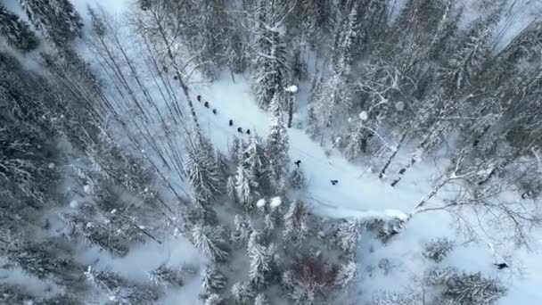 Воздушный Вид Сверху Вниз Группу Туристов Идущих Один Другим Заснеженной — стоковое видео