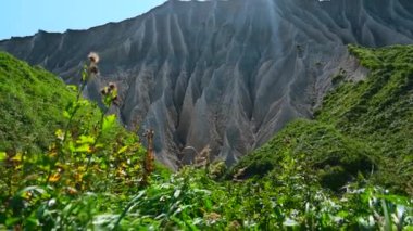 Erozyon ve bitki örtüsü olan güzel beyaz kayalar. Şarjör. Erime ve inanılmaz bitki örtüsü olan volkanik beyaz kayalar. Kayalık manzaralı doğal cazibe. 
