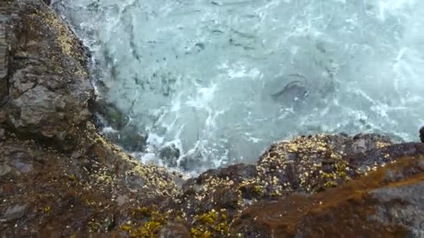 Close Surge Waves Rocky Shore Clip Beautiful Waves Splash Roll — Stock Video