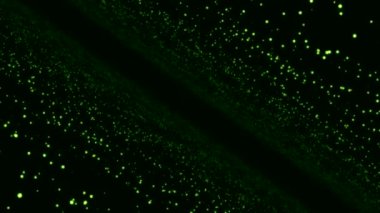 Siyah arkaplanda noktalar olan siber uzaya bir geçit. Animasyon. Siyah arkaplanda parlak noktaları hareket ettiren uzaysal perspektif. Matriste noktalardan oluşan duvarları olan doğrusal portal. 