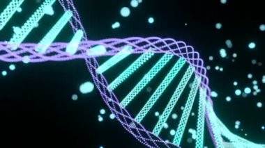 Dönen DNA yapısının animasyonu, siyah arkaplana karşı yeşil ve mor dijital dalgalar