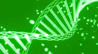 Dönen DNA ipliklerinin animasyonu. Tasarım. Yeşil dönen soyut DNA sarmalı küçük parçacıklarla siyah bir arkaplan üzerinde dönüyor