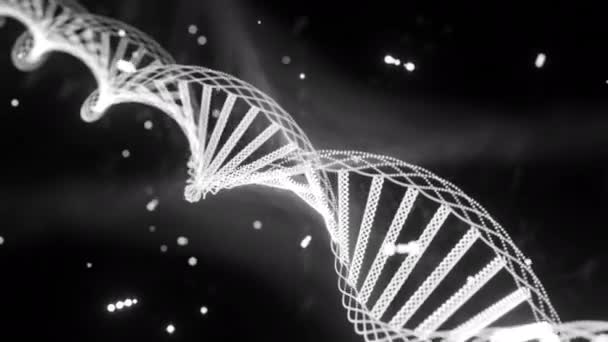 小颗粒Dna分子的动画构建 医学研究 基因工程 — 图库视频影像