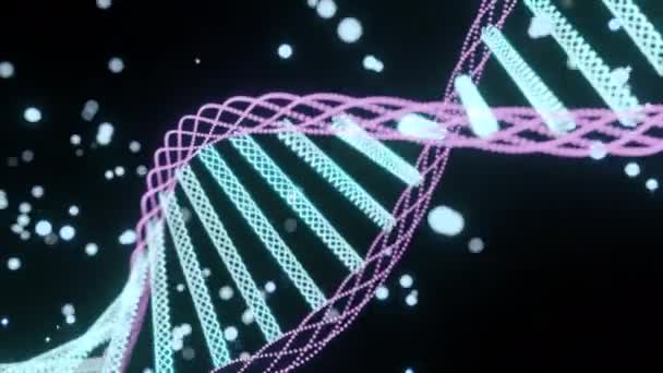 旋转Dna结构 绿色和紫色数字波在黑色背景下的动画 — 图库视频影像