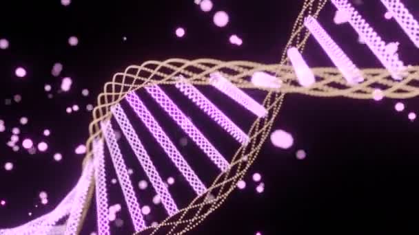 Dna基因组双螺旋 科学和医学概念 医学研究 基因工程 — 图库视频影像