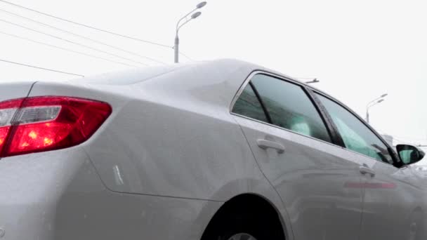 Sopir Membuka Pintu Mobil Untuk Pengusaha Muda Yang Terhormat Adegan — Stok Video