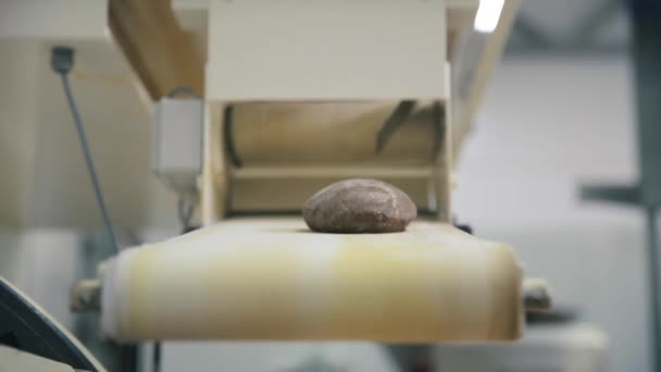 Brotproduktion Szene Lebensmittel Fabrik Förderband Brotlaib Fließband Einer Lebensmittelfabrik Laib — Stockvideo