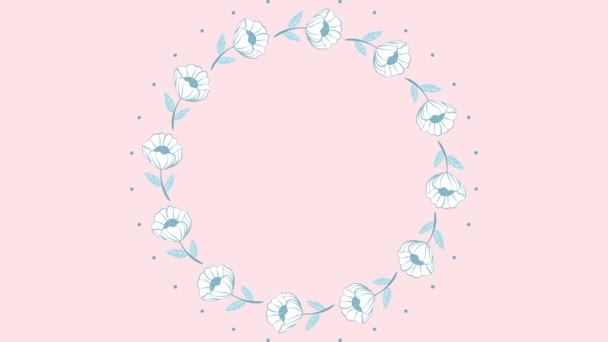 Відкриття Блакитних Квітів Петлі Анімація Квіти Рожевий Фон — стокове відео