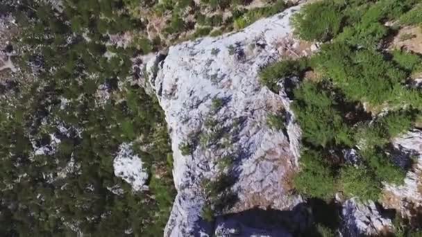 Luftbild Der Berge Von Oben Schuss Fels Kiefern Blick Von — Stockvideo