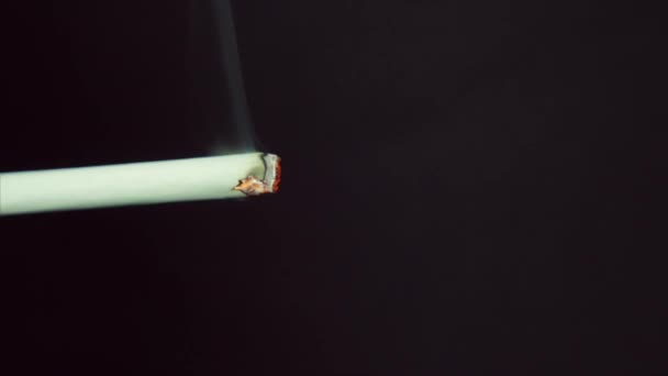 Primer Plano Cigarrillo Llamas Fumar Cigarrillo Sobre Fondo Negro Cigarrillo — Vídeos de Stock