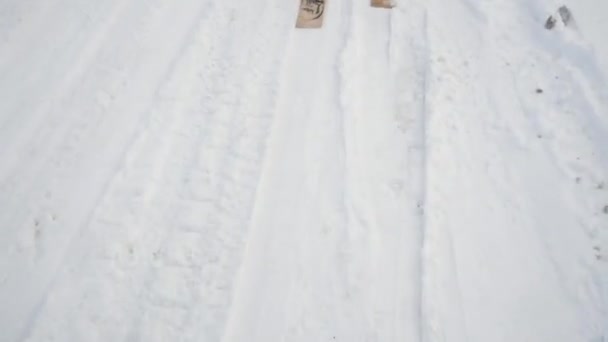 Военные Лыжах Оружием Клип Группа Солдат Лыжах Лесу — стоковое видео
