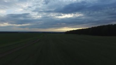 Tarlada yansıtılan güzel günbatımı. Görüntü. Hava sahasında dramatik bir gün batımı. Günbatımı gökyüzü ve beyaz bulutlarla güzel bir bahar çayırı manzarası 4K