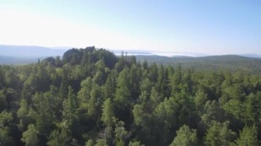 Bir dağdaki orman yaz manzarası vahşi doğa manzaralı seyahat manzarası. Yaz huş ağacı, köknar ve çam ormanları hava manzarası 4K