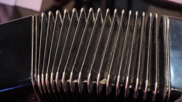 Suonare Con Una Grande Fisarmonica Suonare Armonica Vicino Vecchio Strumento — Video Stock