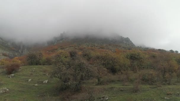 秋の山で霧の中で岩の崖 美しい風景 — ストック動画