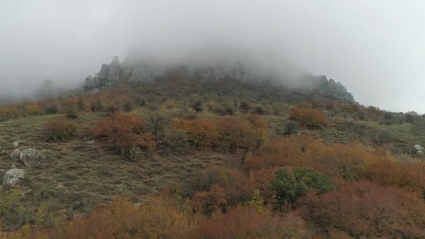 Όμορφες Ορεινές Κορυφογραμμές Και Δέντρα Πυκνή Ομίχλη Φθινοπωρινό Τοπίο — Αρχείο Βίντεο