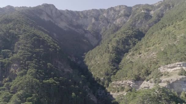Dağların Güzel Manzara Dağ Orman Havadan Görünümü — Stok video