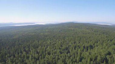 Uzak mesafe doğa dağ yeşil orman manzarası, hava manzarası. Yaz boyunca ormanın havadan görünüşü, uzaklığı 4K olan yeşil ağaçların karışımı.